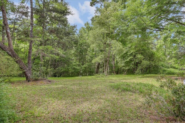 8171 Winnie Ln, Tallahassee, FL 32304 - photo 30