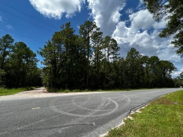 XX Curtis Mill Rd, Sopchoppy FL, 32358 land for sale