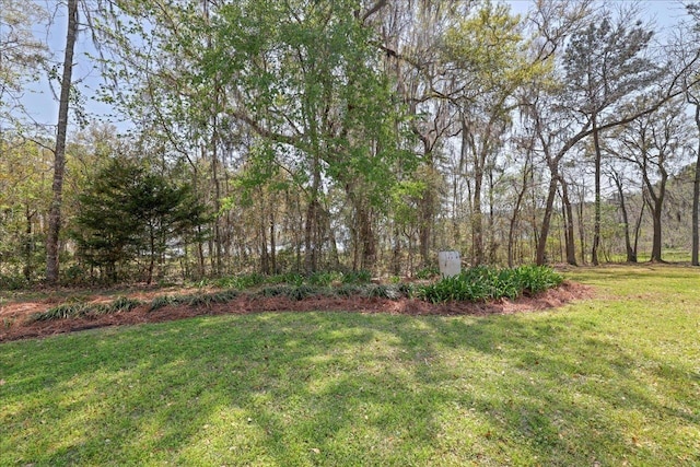 3621 Moody Trl, Tallahassee, FL 32309 - view of green lawn