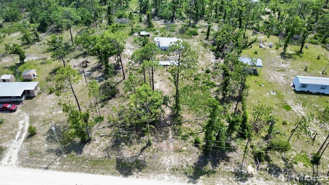 17310 E Royal Oak Dr, Perry, FL 32348