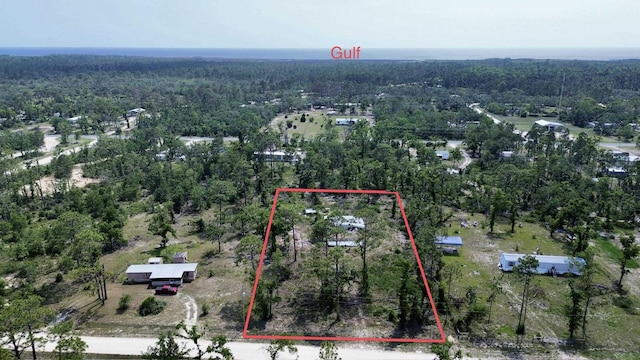 17310 E Royal Oak Dr, Perry, FL 32348