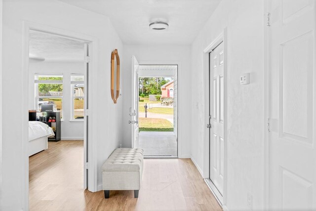 doorway featuring light hardwood / wood-style floors and plenty of natural light