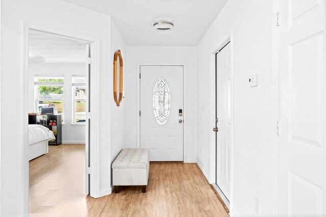 doorway to outside featuring light hardwood / wood-style flooring