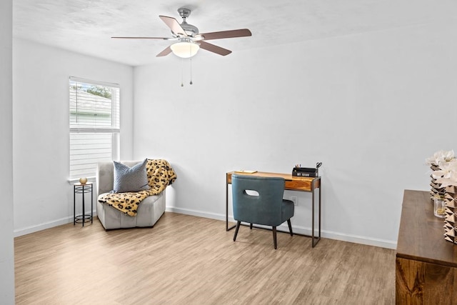 office with ceiling fan and light hardwood / wood-style flooring