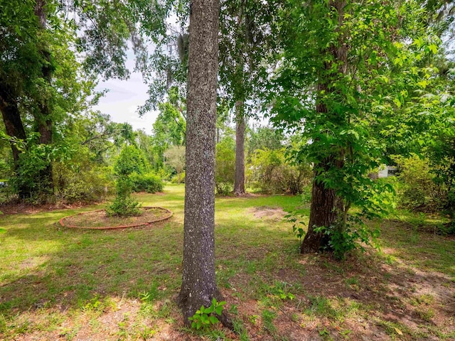 3364 NW 66th Blvd, Jennings, FL 32053 - view of green lawn