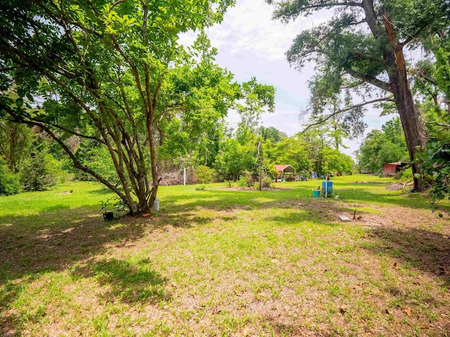 3364 NW 66th Blvd, Jennings, FL 32053 - view of green lawn