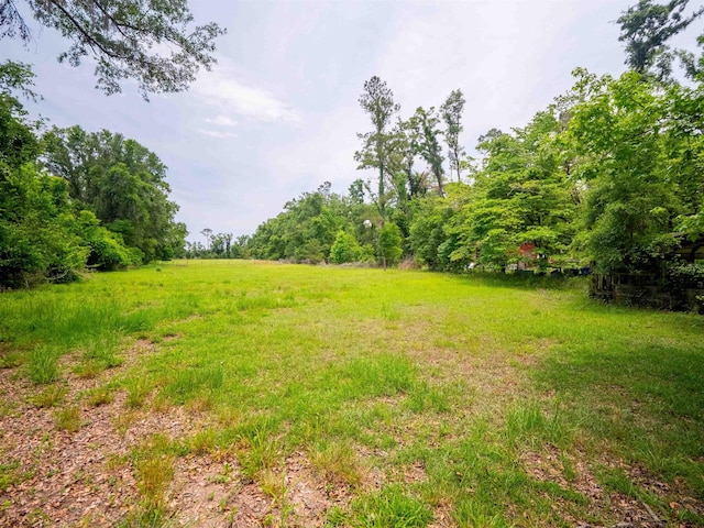 3364 NW 66th Blvd, Jennings, FL 32053 - view of yard featuring a forest view
