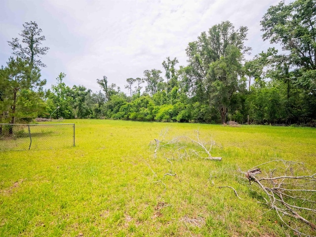 3364 NW 66th Blvd, Jennings, FL 32053 - view of yard