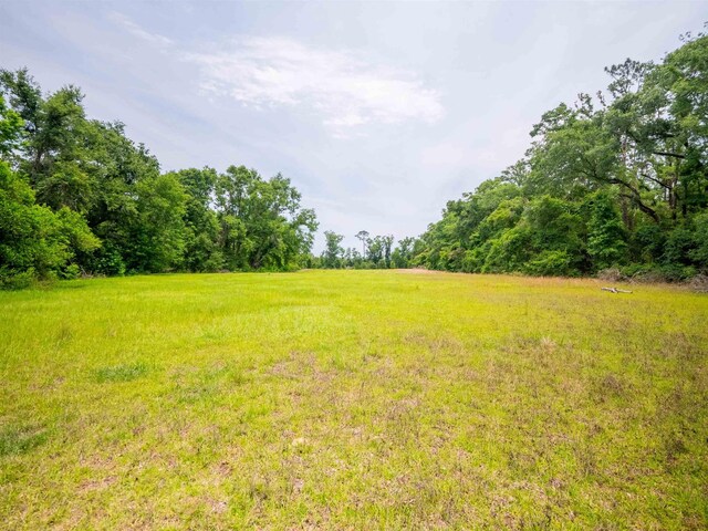 3364 NW 66th Blvd, Jennings, FL 32053 - view of yard with a view of rural / pastoral area