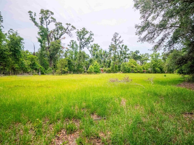 3364 NW 66th Blvd, Jennings, FL 32053 - view of yard