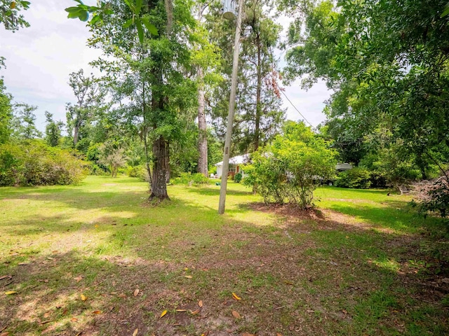 3364 NW 66th Blvd, Jennings, FL 32053 - view of grassy yard