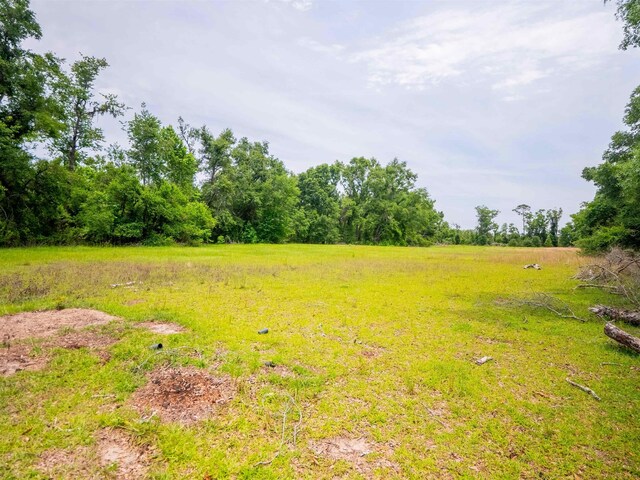 3364 NW 66th Blvd, Jennings, FL 32053 - view of yard featuring a rural view
