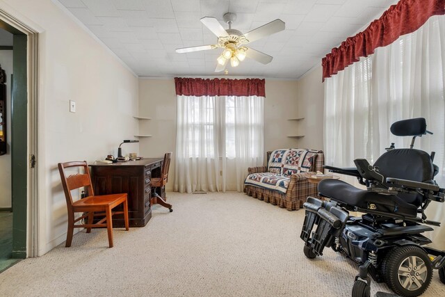 1906 Hollywood Dr, Tallahassee, FL 32303 - photo 23