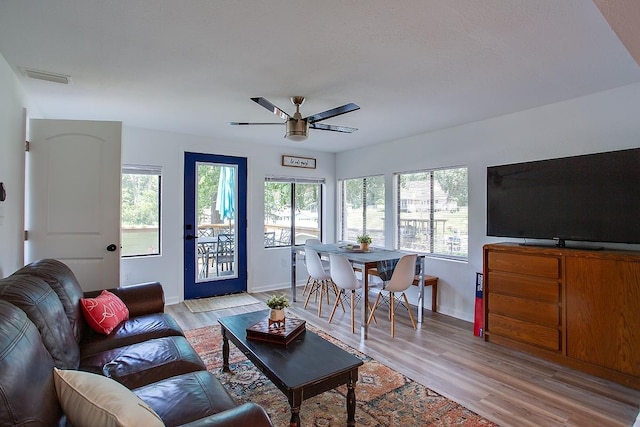 living room with ceiling fan and light hardwood / wood-style flooring