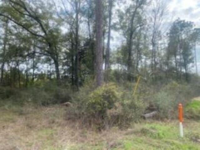 Listing photo 3 - caption unavailable