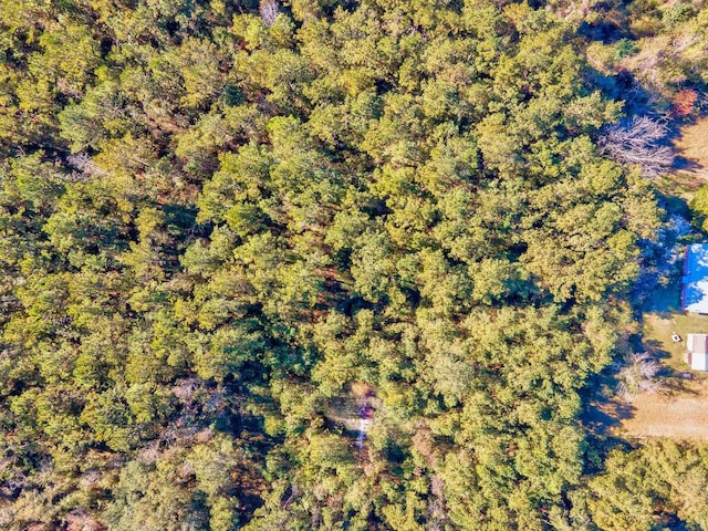 150 Mabry Ln, Quincy, FL 32351 - photo 8