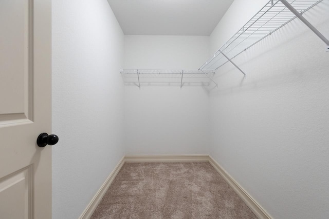 walk in closet with light carpet