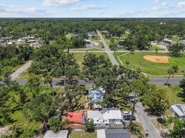 514 N Calhoun St, Perry, FL 32347 - drone / aerial view