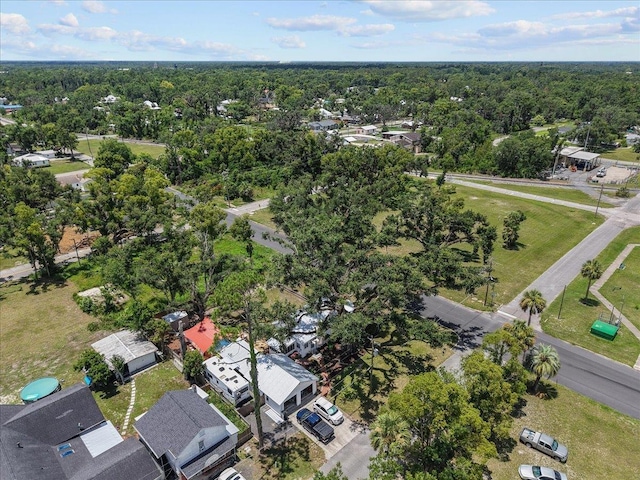 514 N Calhoun St, Perry, FL 32347 - aerial view of residential area with a heavily wooded area