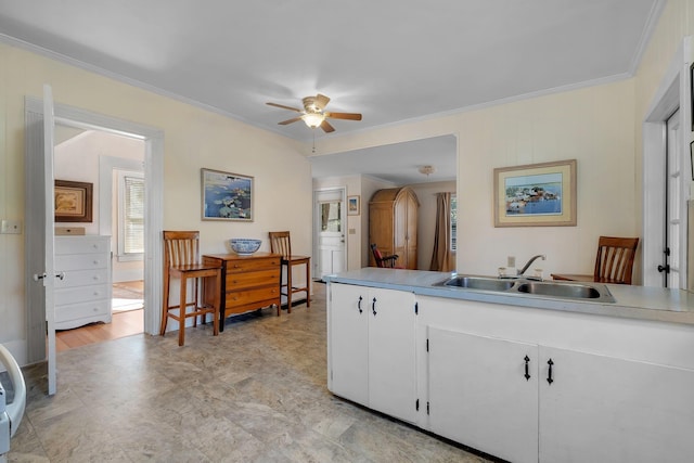 kitchen featuring ceiling fan, white cabinets, sink, and ornamental molding