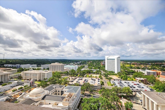 300 S Duval St Unit 2209, Tallahassee, FL 32301 - view of urban area