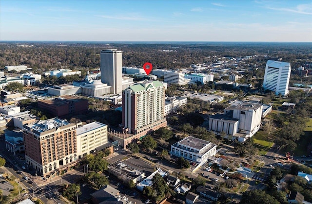 300 S Duval St Unit 2209, Tallahassee, FL 32301 - view of city