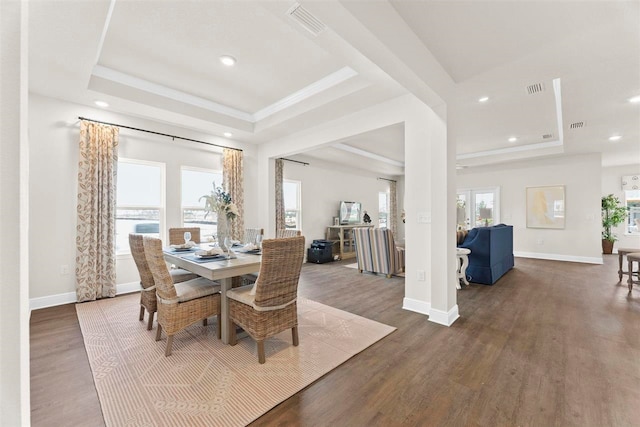 dining area with plenty of natural light and a tray ceiling