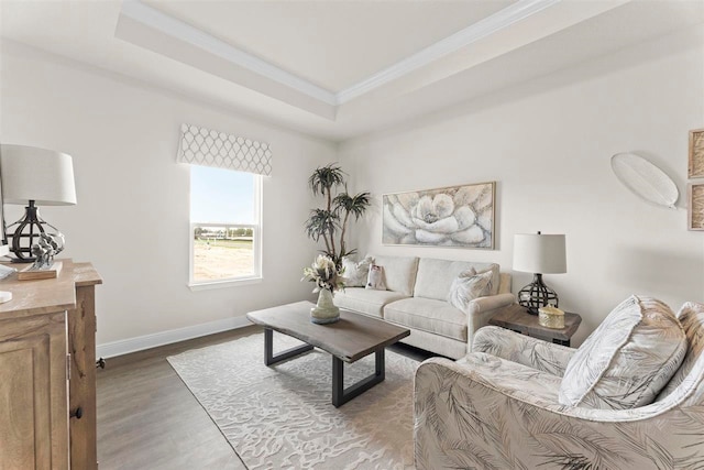 living room with ornamental molding, a tray ceiling, and dark hardwood / wood-style floors