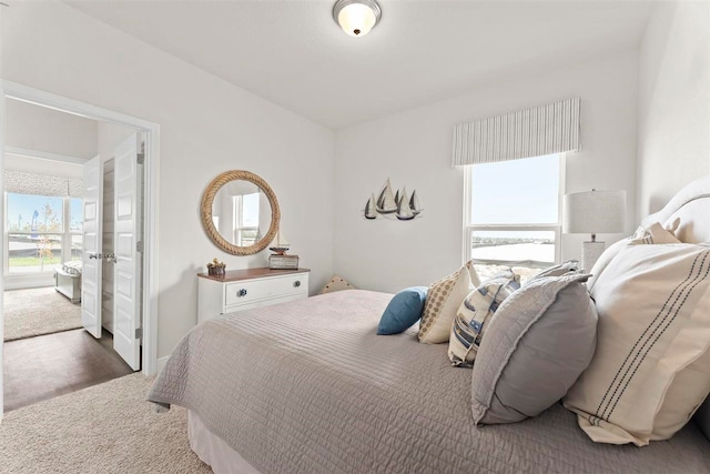 bedroom featuring multiple windows and carpet flooring