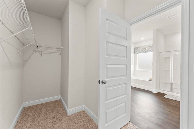 spacious closet featuring wood-type flooring