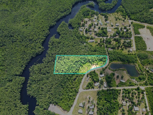 TBD SE Mcclellan St Fl, West Calhoun, FL 32449 - photo 2