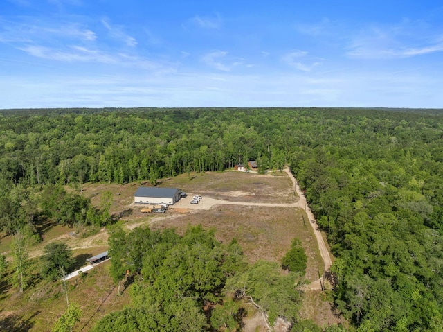 11274 Old Federal Rd -, Unit Quincy, FL 32351 - photo 40