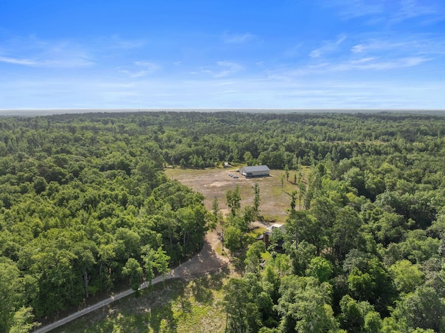11274 Old Federal Rd -, Unit Quincy, FL 32351 - photo 39