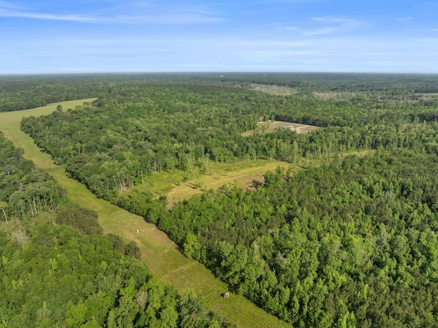 11274 Old Federal Rd -, Unit Quincy, FL 32351 - photo 38