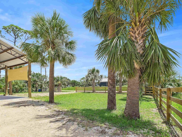 350 Cedar Island Rd, Keaton Beach, FL 32348 - photo 5