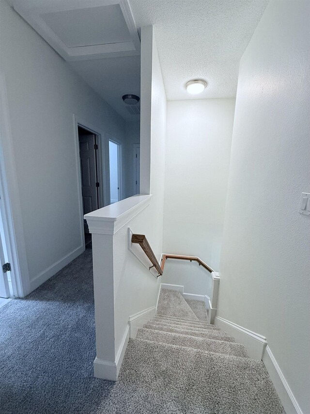 323 Milestone Dr, Tallahassee, FL 32312 - photo 13