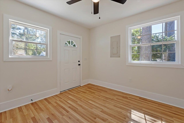 foyer with electric panel, a healthy amount of sunlight, and light hardwood / wood-style flooring