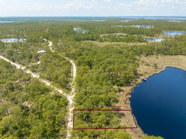 69 Lakeview Dr, Alligator Point, FL 32346 - photo 6
