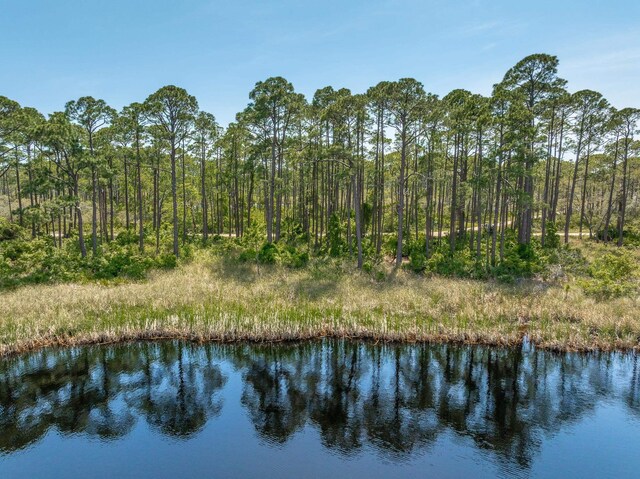 69 Lakeview Dr, Alligator Point, FL 32346 - photo 15