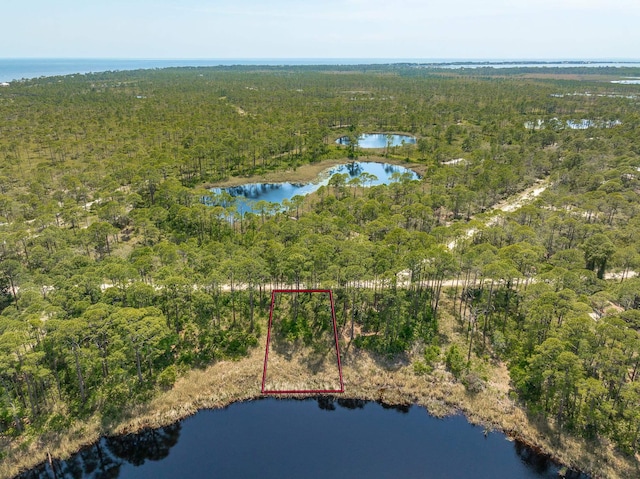 69 Lakeview Dr, Alligator Point, FL 32346 - photo 8