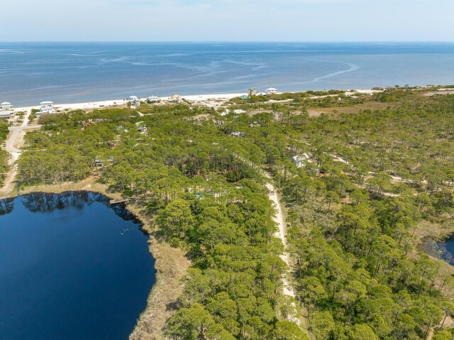 69 Lakeview Dr, Alligator Point, FL 32346 - photo 4