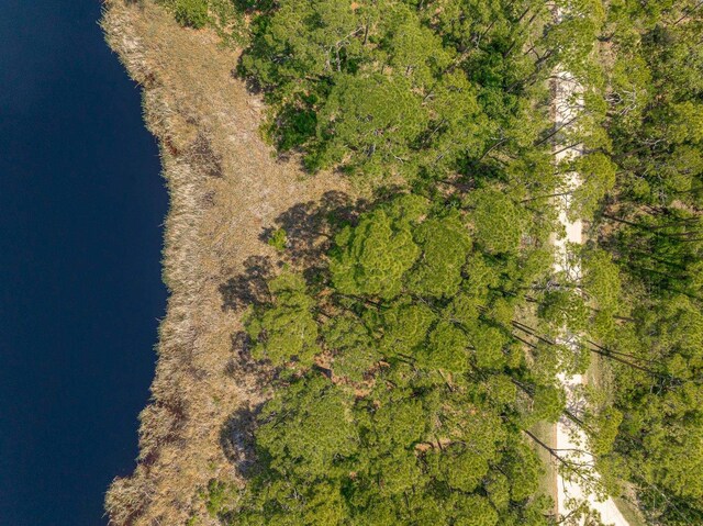 69 Lakeview Dr, Alligator Point, FL 32346 - photo 11