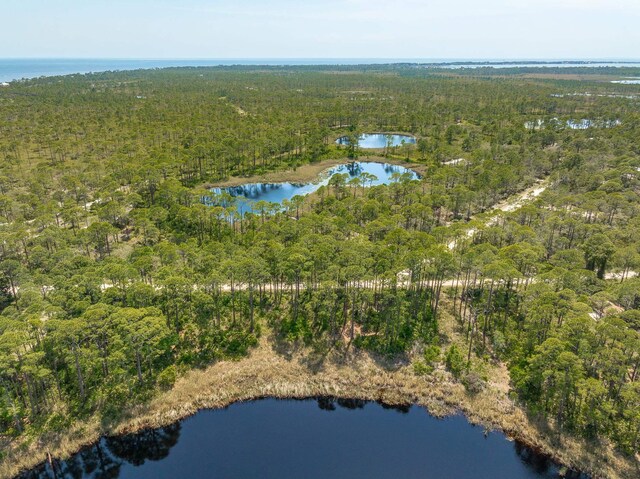 69 Lakeview Dr, Alligator Point, FL 32346 - photo 9