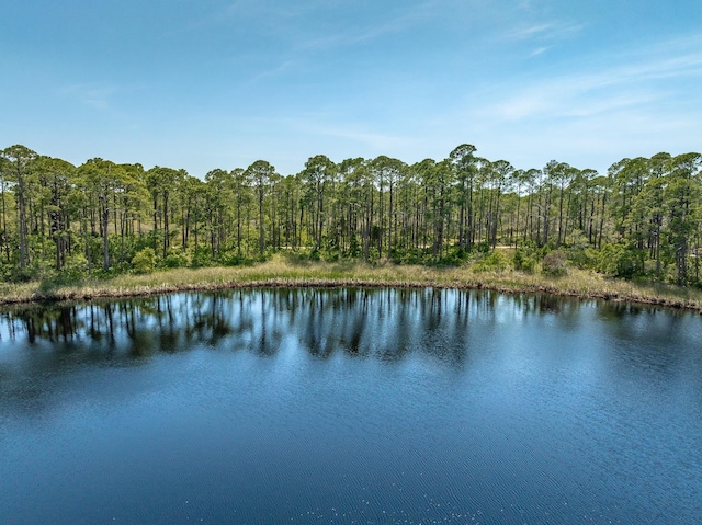 69 Lakeview Dr, Alligator Point, FL 32346 - photo 13