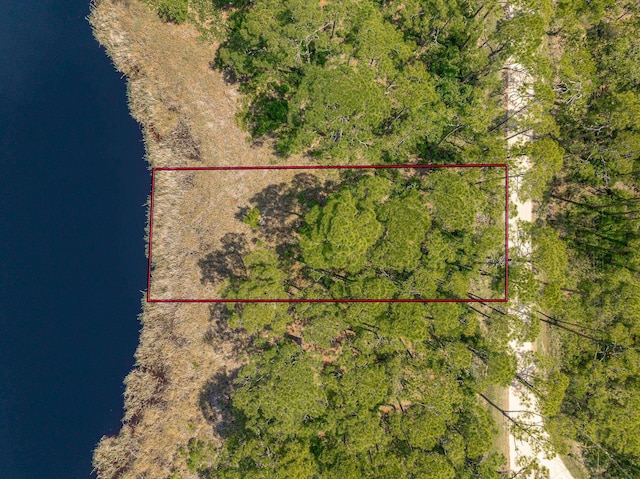 69 Lakeview Dr, Alligator Point, FL 32346 - photo 10