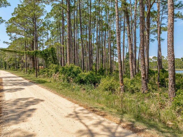 69 Lakeview Dr, Alligator Point, FL 32346 - photo 5