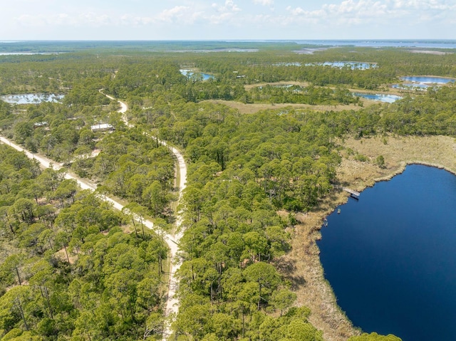 69 Lakeview Dr, Alligator Point, FL 32346 - photo 7