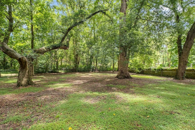 1422 Lucy St, Tallahassee, FL 32308 - photo 35