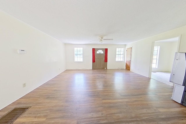 452-BN Railroad Cir, Boston, GA 31626 - entrance foyer featuring ceiling fan and wood finished floors