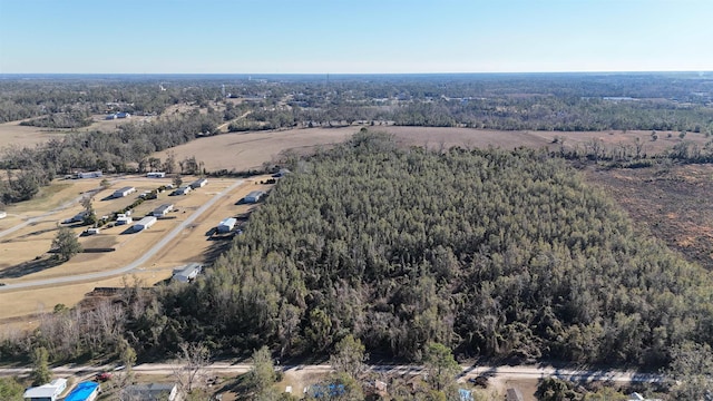 Listing photo 2 for PARCEL1 NW Adelie Trl, Madison FL 32340